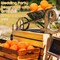 24PCS Artificial Oranges for Decoration, Realistic Faux Orange Fruits, 3-Inch Lifelike Foam Citrus Display for Fruit Bowls, Table Centerpieces, Home Kitchen Decor, Wedding Party & Photography Props